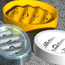 Designed by <strong><a href='/success-stories/illuminating-more-than-product-design/'>Celso Santos</a></strong> &bull; Created in <a href='/3d-modeling/3d-modeling-cobalt.html'>Cobalt CAD & 3D Modeling Software</a>