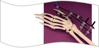 Medical Gallery