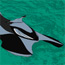 Designed by <strong>Troy Starkey</strong> &bull; Created in Ashlar-Vellum CAD & 3D Modeling Software